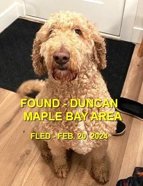 HAPPY ENDINGS - DUNCAN (MAPLE BAY) BC. / FEB. 20, 2024
