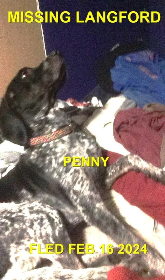 HAPPY ENDINGS - LANGFORD BC. / PENNY / FEB. 16, 2024