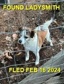 HAPPY ENDINGS - LADYSMITH BC. / FEB. 16, 2024