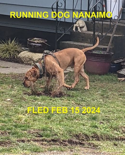 HAPPY ENDINGS - NANAIMO BC. / FEB. 15, 2024