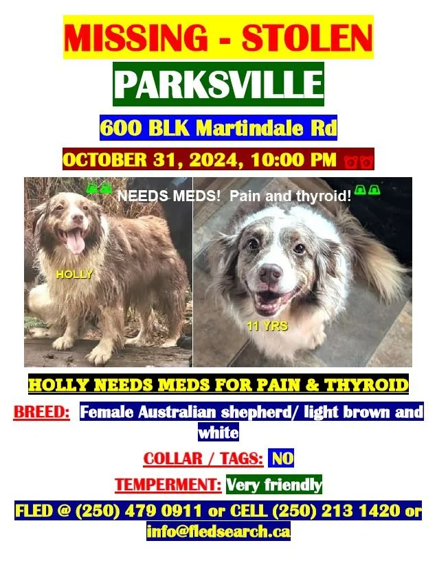 OVER THE RAINBOW BRIDGE - PARKSVILLE BC. / HOLLY / OCT. 31, 2024