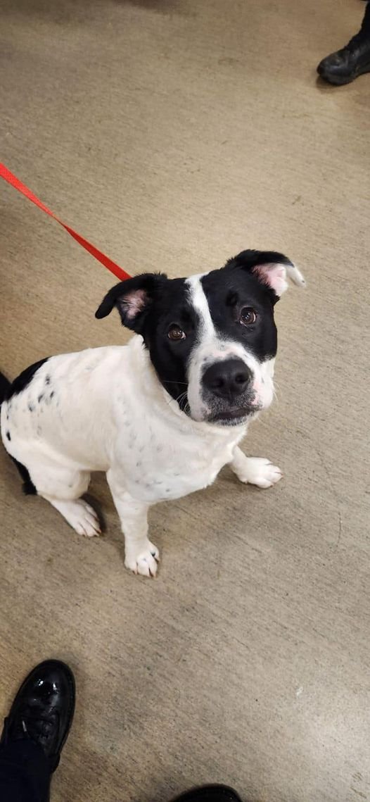 GONE TO SHELTER / GONE HOME - NANAIMO BC. / NOV. 13, 2024