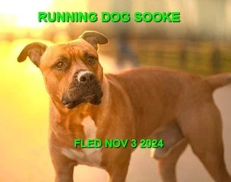 UNRESOLVED - SOOKE BC. / NOV. 3, 2024