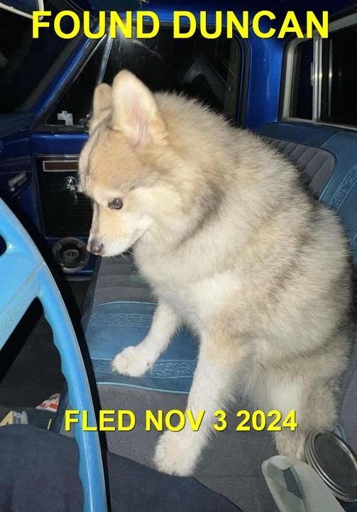 UNRESOLVED - DUNCAN BC. / NOV. 3, 2024