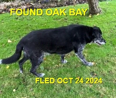 UNRESOLVED - VICTORIA (OAK BAY) BC. / OCT. 24, 2024