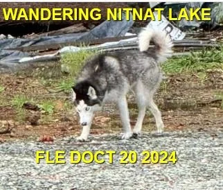 UNRESOLVED - NITNAT LAKE BC. / OCT. 21, 2024