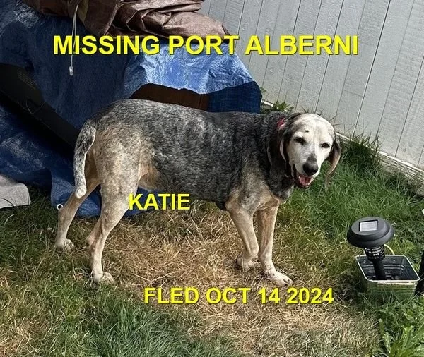 UNRESOLVED - PORT ALBERNI BC. / KATIE / OCT. 14, 2024