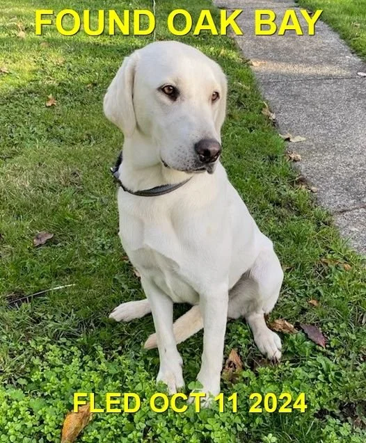 HAPPY ENDINGS - VICTORIA (OAK BAY) BC. / OCT. 11, 2024