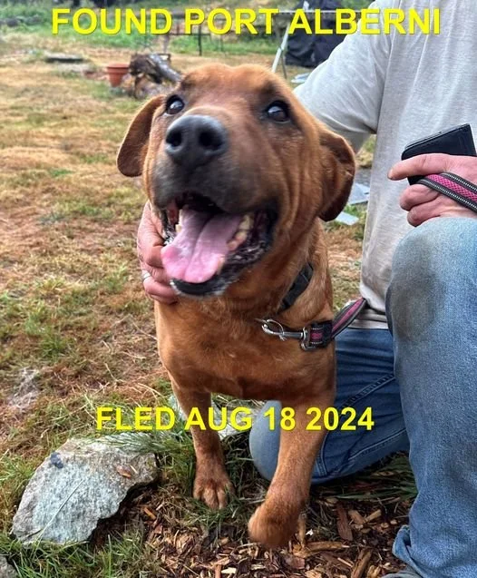 HAPPY ENDINGS - PORT ALBERNI BC. / AUG. 18, 2024