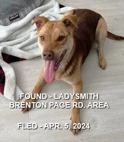 UNRESOLVED - LADYSMITH BC. / APRIL 5, 2024
