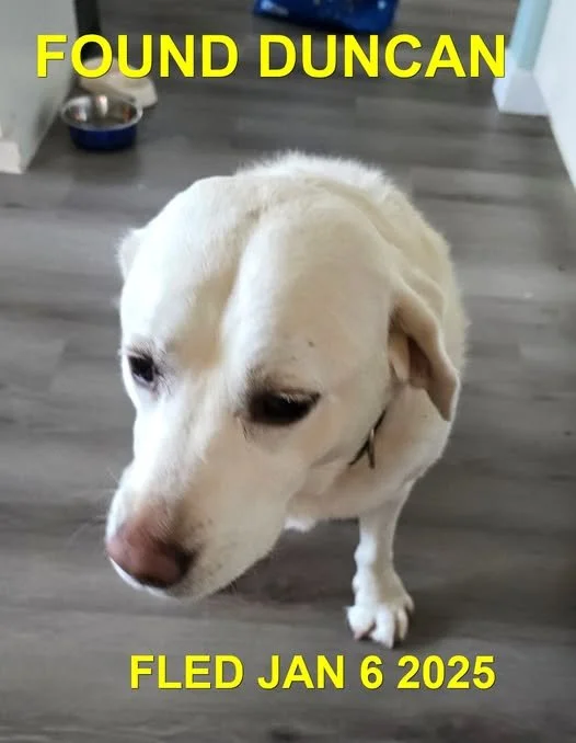 HAPPY ENDINGS - DUNCAN BC. / SOPHIE / JAN. 6, 2025