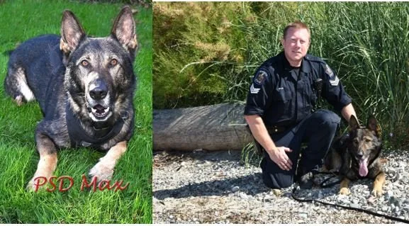 OVER THE RAINBOW BRIDGE - THANK YOU FOR YOUR SERVICE - SAANICH BC. / MAX / NOV. 15, 2024