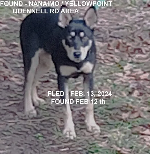 UNRESOLVED - NANAIMO BC. / FEB. 12, 2024