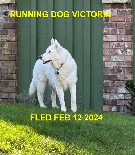 UNRESOLVED - VICTORIA BC. / FEB. 12, 2024