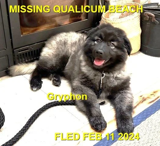 HAPPY ENDINGS - QUALICUM BEACH BC. / GRYPHON / FEB. 10, 2024