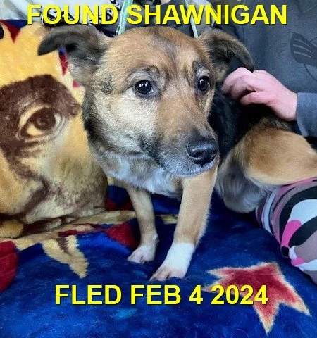 HAPPY ENDINGS - SHAWNIGAN LAKE BC. / FEB. 4, 2024