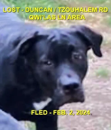 WENT HOME ON OWN - DUNCAN BC. / BEAUTY / FEB. 2, 2024