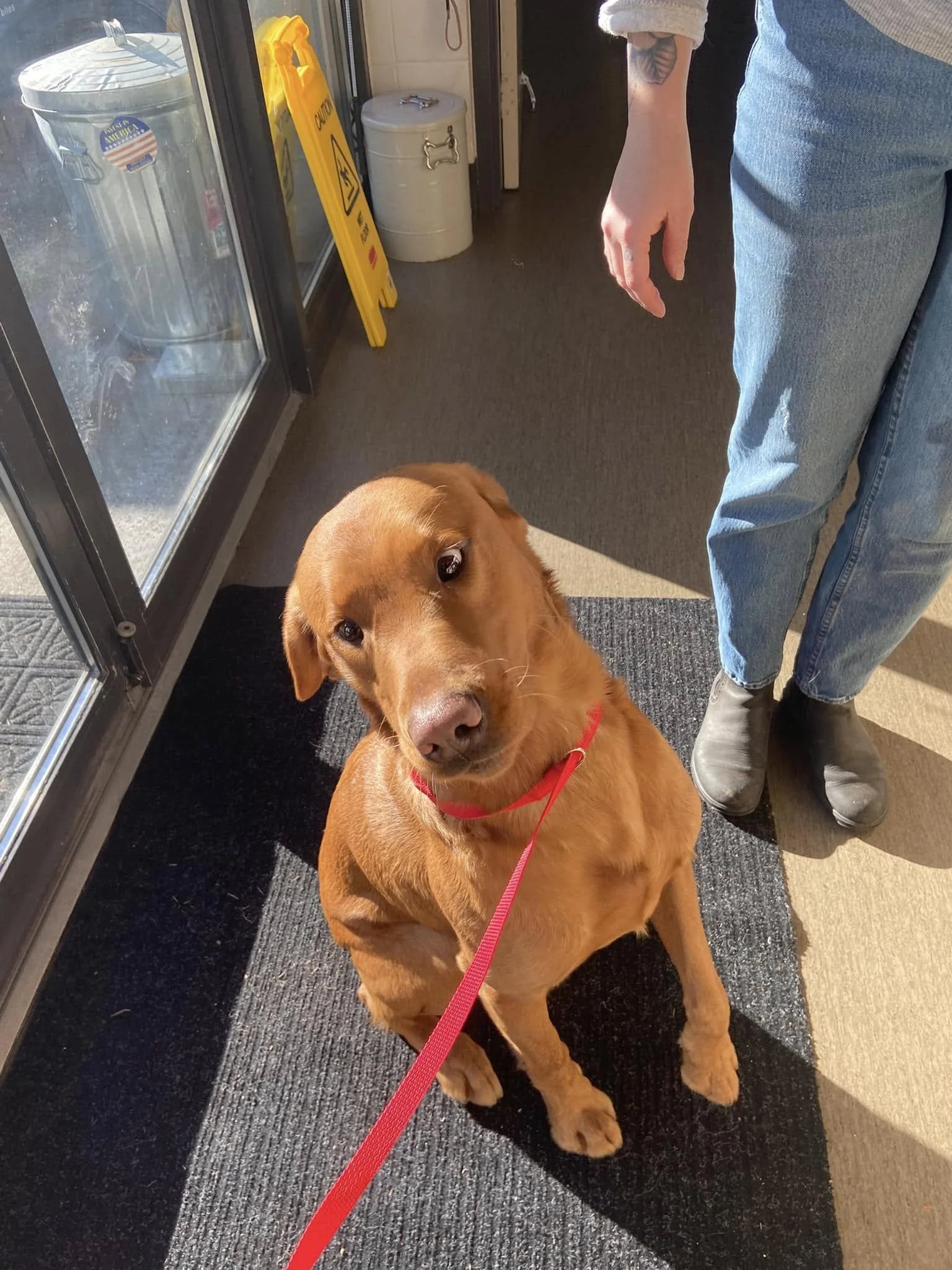 GONE TO SHELTER / GONE HOME - NANAIMO BC. / JAN. 25, 2025
