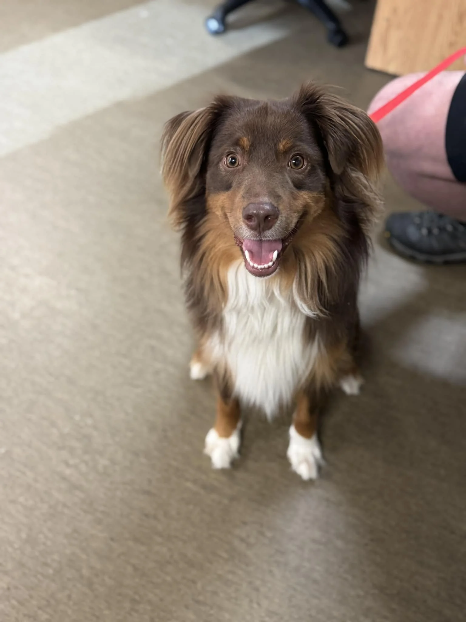 GONE TO SHELTER / GONE HOME - NANAIMO BC. / JAN 20, 2025