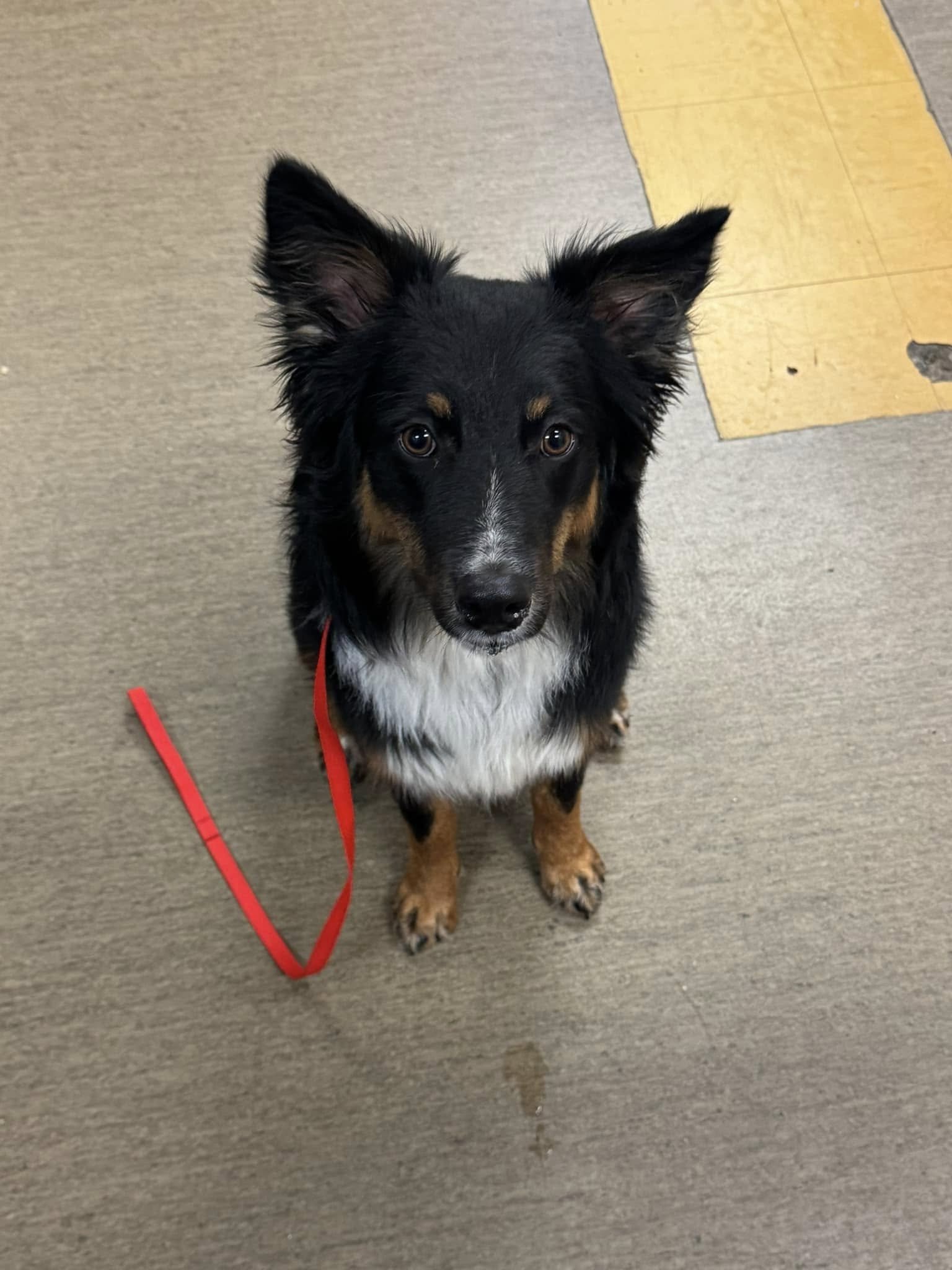 GONE TO SHELTER / GONE HOME - NANAIMO BC. / JAN. 7, 2025