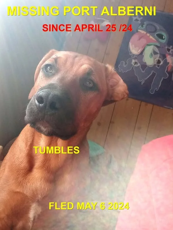STILL MISSING - PORT ALBERNI BC. / TUMBLES / APRIL 25, 2024