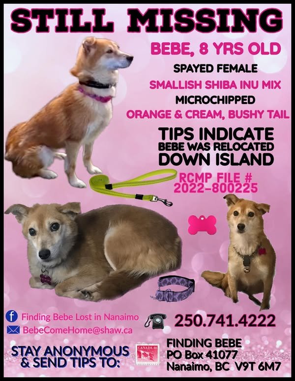 STILL MISSING - NANAIMO BC. / BEBE / DEC.  16, 2021