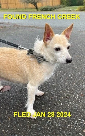 HAPPY ENDINGS - PARKSVILLE BC. / JAN 28, 2024