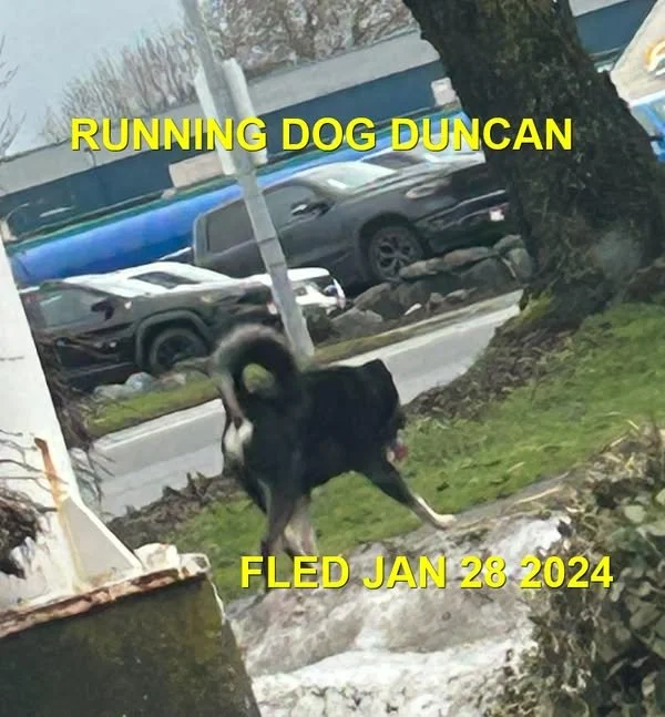 HAPPY ENDINGS - DUNCAN BC / JAN 28, 2024