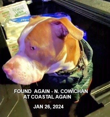 HAPPY ENDINGS - DUNCAN BC. / COLUMBUS / JAN 26, 2024  AFTER BEING PICKED UP BY AC MANY TIMES, COLUMBUS WAS ADOPTED BY A NEW LOVING FAMILY