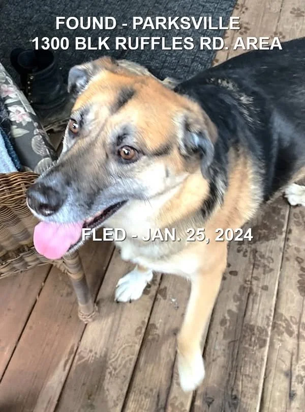 HAPPY ENDINGS - PARKSVILLE BC. / JAN 25, 2024