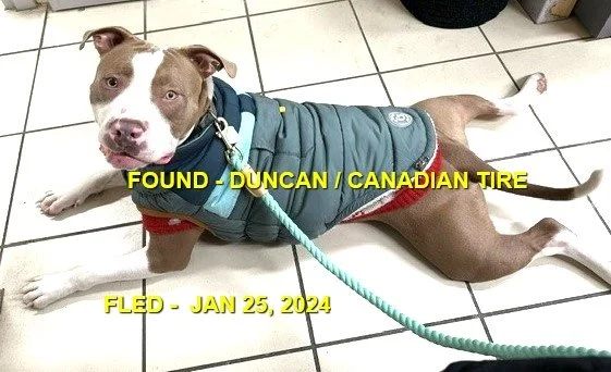 GONE TO SHELTER - GONE HOME - DUNCAN BC. / COLUMBUS / JAN 25, 2024