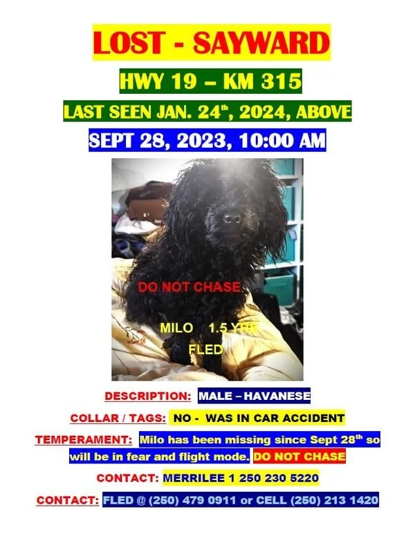 STILL MISSING - SAYWARD BC. / MILO / SEPT. 28, 2023