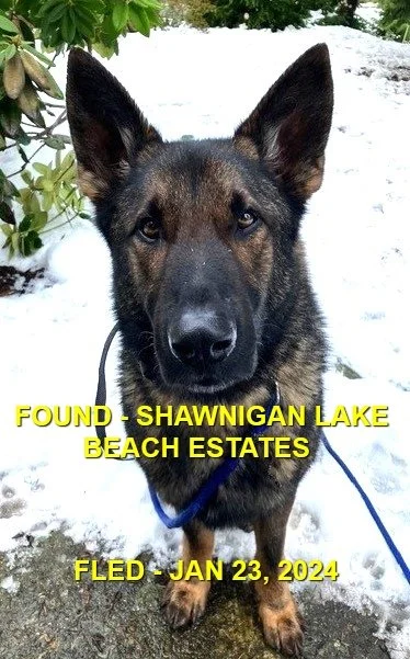 HAPPY ENDINGS - SHAWNIGAN LAKE BC. / BUD / JAN. 23, 2024