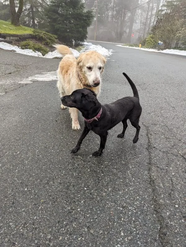 HAPPY ENDINGS - DUNCAN BC ( MAPLE BAY) / JAN 23, 2024