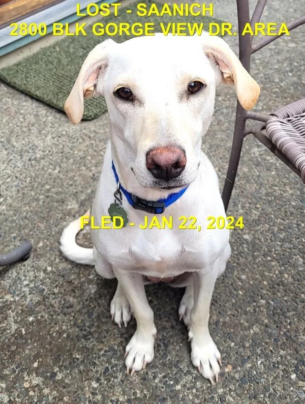 HAPPY ENDINGS - SAANICH BC. / JOYA / JAN. 22, 2024