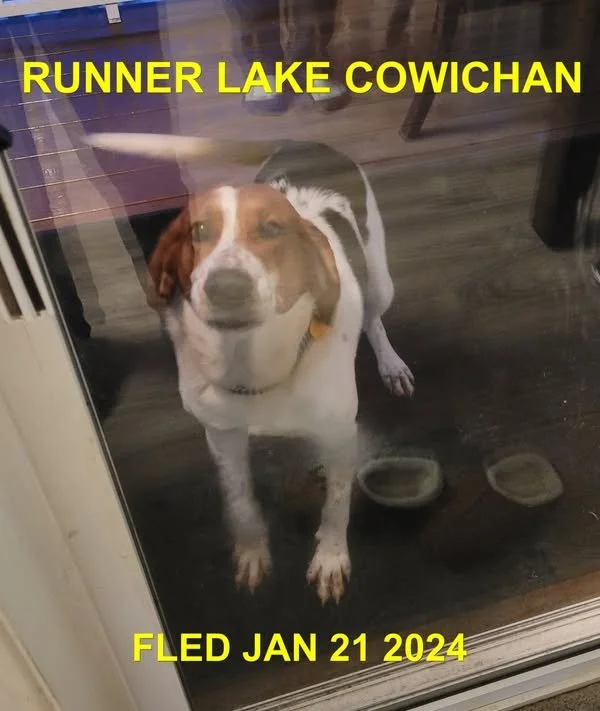 UNRESOLVED - LAKE COWICHAN BC. / JAN 21, 2024