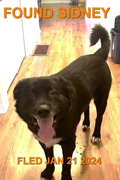 WENT HOME ON THEIR OWN - SIDNEY BC. / JAN 21, 2024