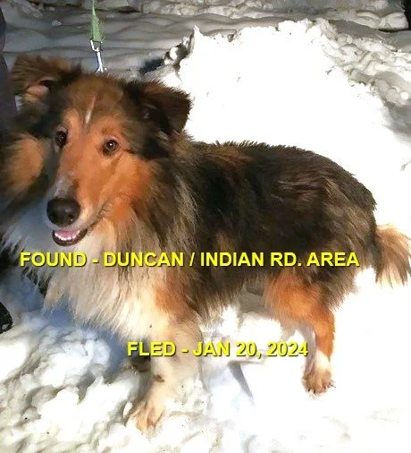 HAPPY ENDINGS - DUNCAN BC. / JAN 20, 2024