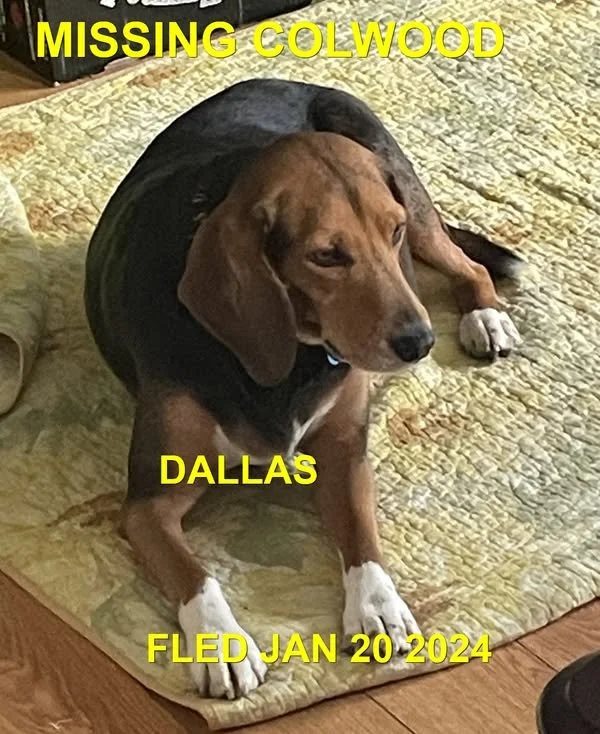 HAPPY ENDINGS - COLWOOD BC. / DALLAS / JAN 20, 2024