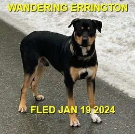 UNRESOLVED - ERRINGTON BC. / JAN 19, 2024