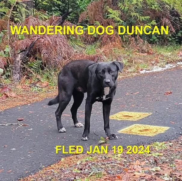 UNRESOLVED - DUNCAN BC. / JAN. 15, 2024