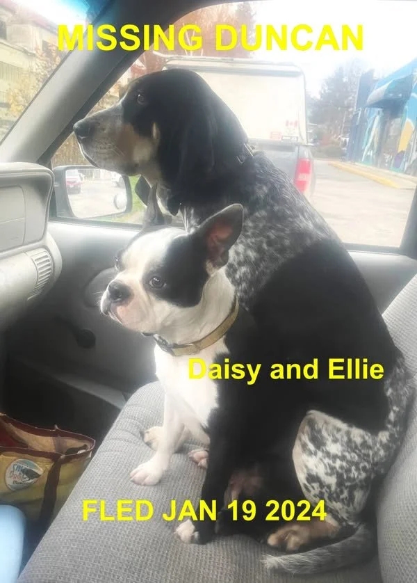 HAPPY ENDINGS - DUNCAN BC. / DAISY &amp; ELLIE / JAN. 18, 2024