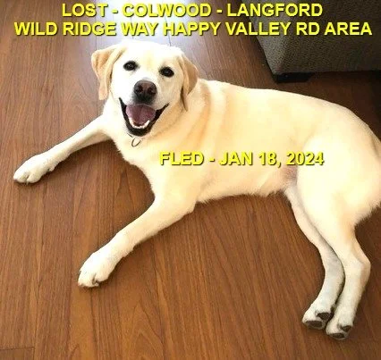 HAPPY ENDINGS - LANGFORD BC. / TRISTY / JAN 18, 2024