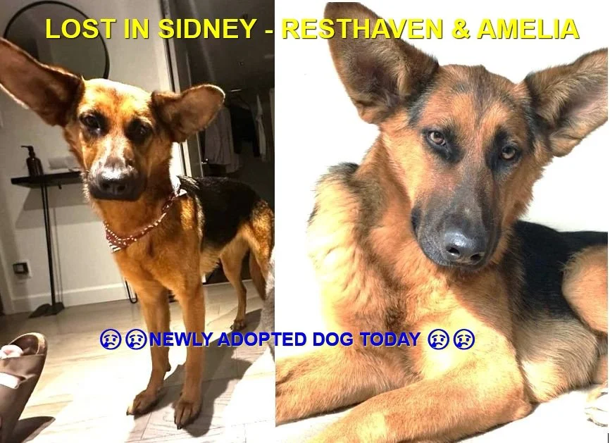 HAPPY ENDINGS - SIDNEY BC. / LARA / JAN. 17, 2024