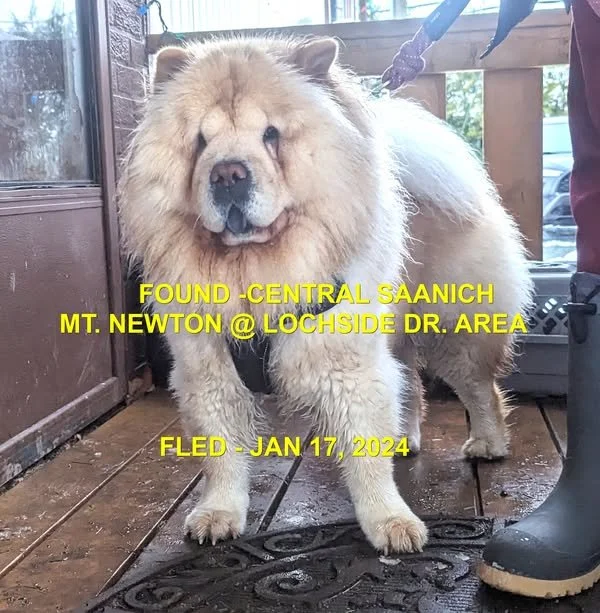 HAPPY ENDINGS - CENTRAL SAANICH BC. / JAN. 17, 2024