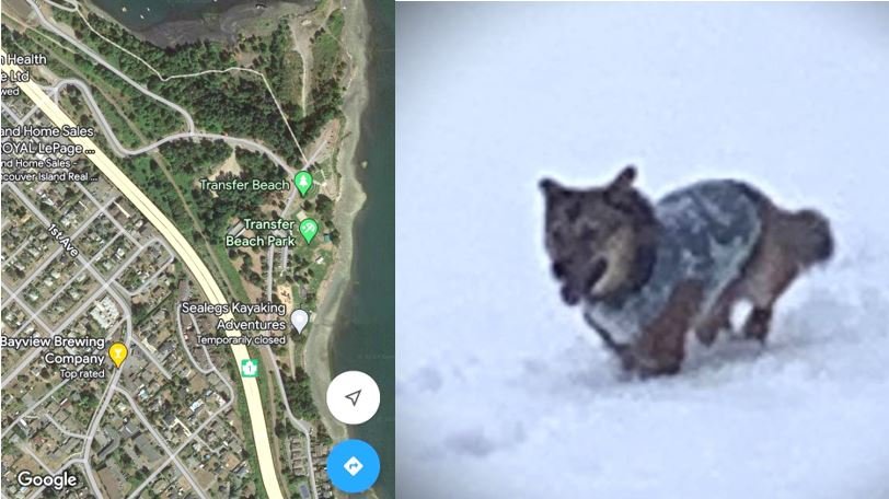 HAPPY ENDINGS - LADYSMITH BC. / JAN. 17, 2024