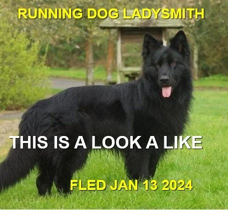 UNRESOLVED - LADYSMITH BC. / JAN. 13, 2024
