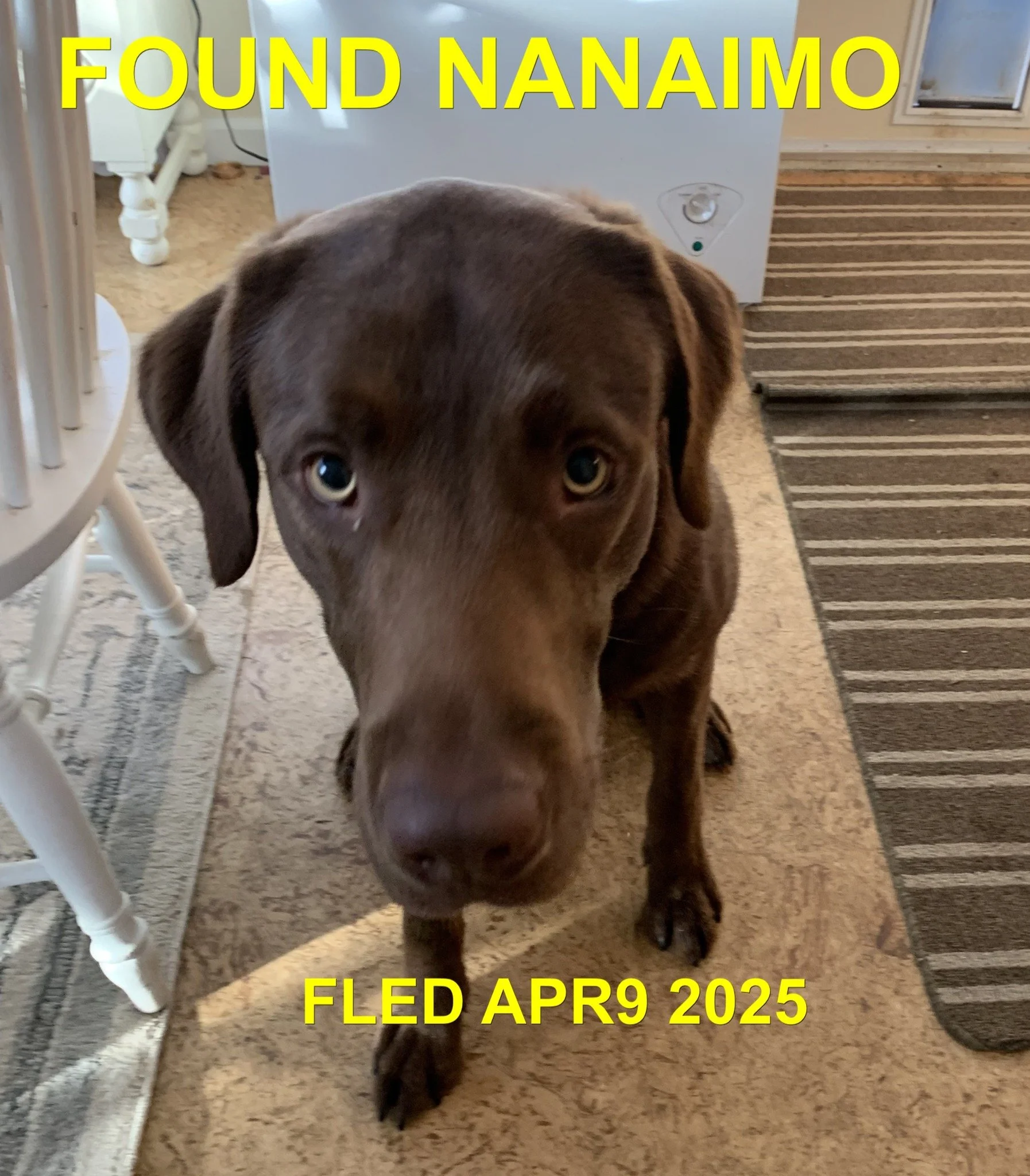 GONE TO SHETLER - GONE HOME -NANAIMO BC. / APRIL 9, 2025