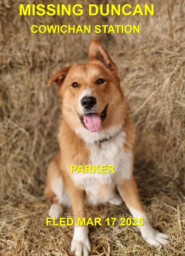 WENT HOME ON THEIR OWN - DUNCAN BC. / PARKER / MARCH 17, 2025