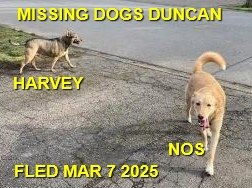 WENT HOME ON THEIR OWN - DUNCAN BC. / NOS &amp; HARVEY / MARCH 7, 2025